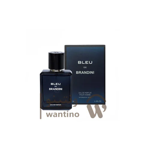 عطر ادکلن مردانه بلو شنل برندینی (Brandini Canale Di Blue) 33 میل