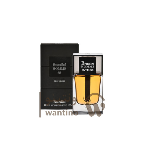 عطر ادکلن مردانه دیور هوم اینتنس برندینی (Brandini Dior Homme Intense) حجم 33 میل