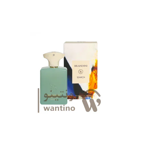 عطر ادکلن آمواج سرچ برندینی (Brandini Amouage Search) حجم 33 میل